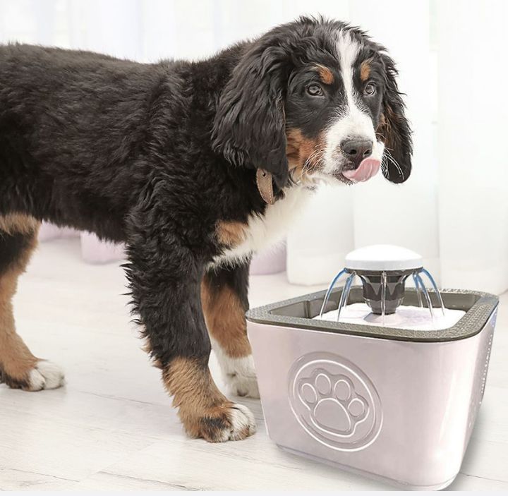 2, 5 lt dog and cat automatic pet water fountain - white
