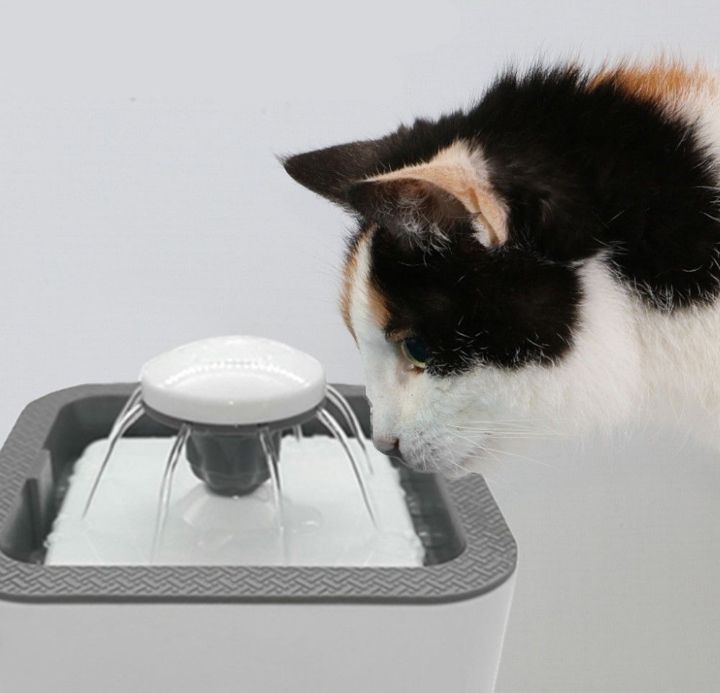 2, 5 lt dog and cat automatic pet water fountain - white